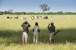 Hwange bush walk safari 