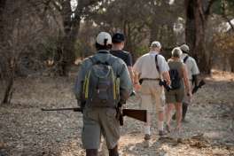 Bush walk, Mana Pools 