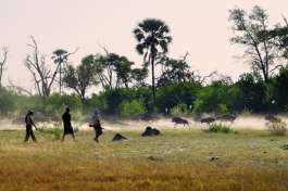 Okavango Delta Bush Walk 