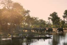 Mokoro ride 
