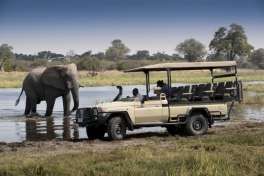 Khwai game drive 