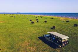 Lake Kariba game drive 