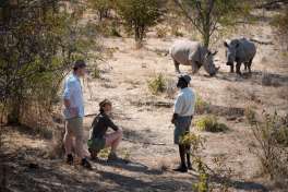 Thorntree River Lodge rhino walk  