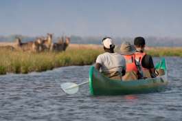 Mana Pools Canoe 