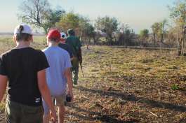 Hwange Bush Walk 