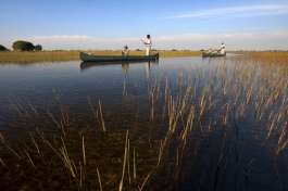 Makoro trip Okavango 