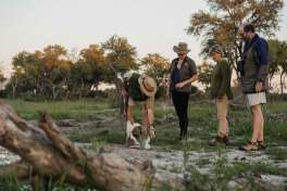 Mogotlho safari lodge bush walk 