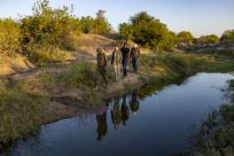Bush Walk in Hwange 