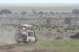 Serengeti Safari vehicle 