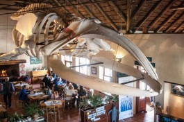 Hub restaurant 