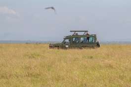 Safari vehicle 
