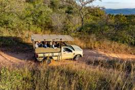 Open Game Drive Vehicle 