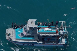 Shark cage diving boat, Gansbaai 