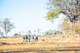 Moremi walking safari 