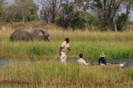 Moremi mokoro excursion 