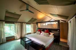 Pom pom camp - luxury tent 