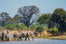 Dinare private reserve - wildlife 