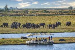 Big 5 safari Chobe, Botswana 