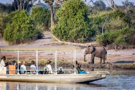 Chobe river boat cruise 