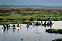 Upper-Zambezi river canoe safari 