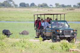 Chobe game drive vehicle 