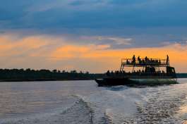 Sunset cruise Chobe river 