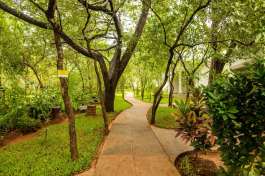 Kasambabezi lodge garden 