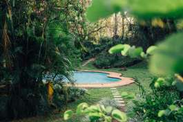 Mantenga lodge pool and gardens 