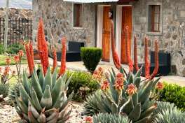 Mantsebo guest house room exterior and garden 