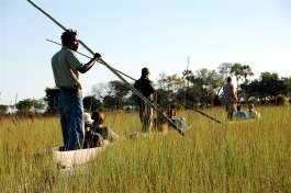 Botswana tour mokoro excursion in the okavango 