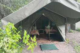 Guma fixed tents 
