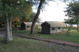 Lodge in Maun  - tents 