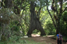 Mount Meru hiking trail 