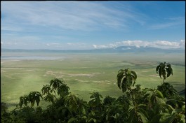 Ngorongoro Crater, Tanzania Safari Tour  by Mike McHolm