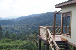 Bwindi lodge view 