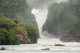 Murchison Falls 