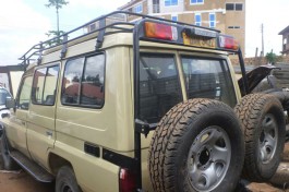Safari transport 