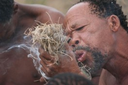 San Bushmen  