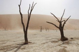 Deadvlei 