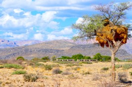 Desert accommodation 