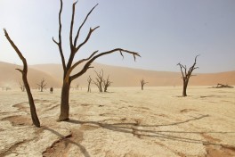 Deadvlei 