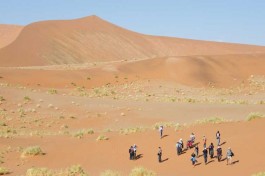 Namib Desert 