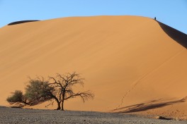 Namib Desert 